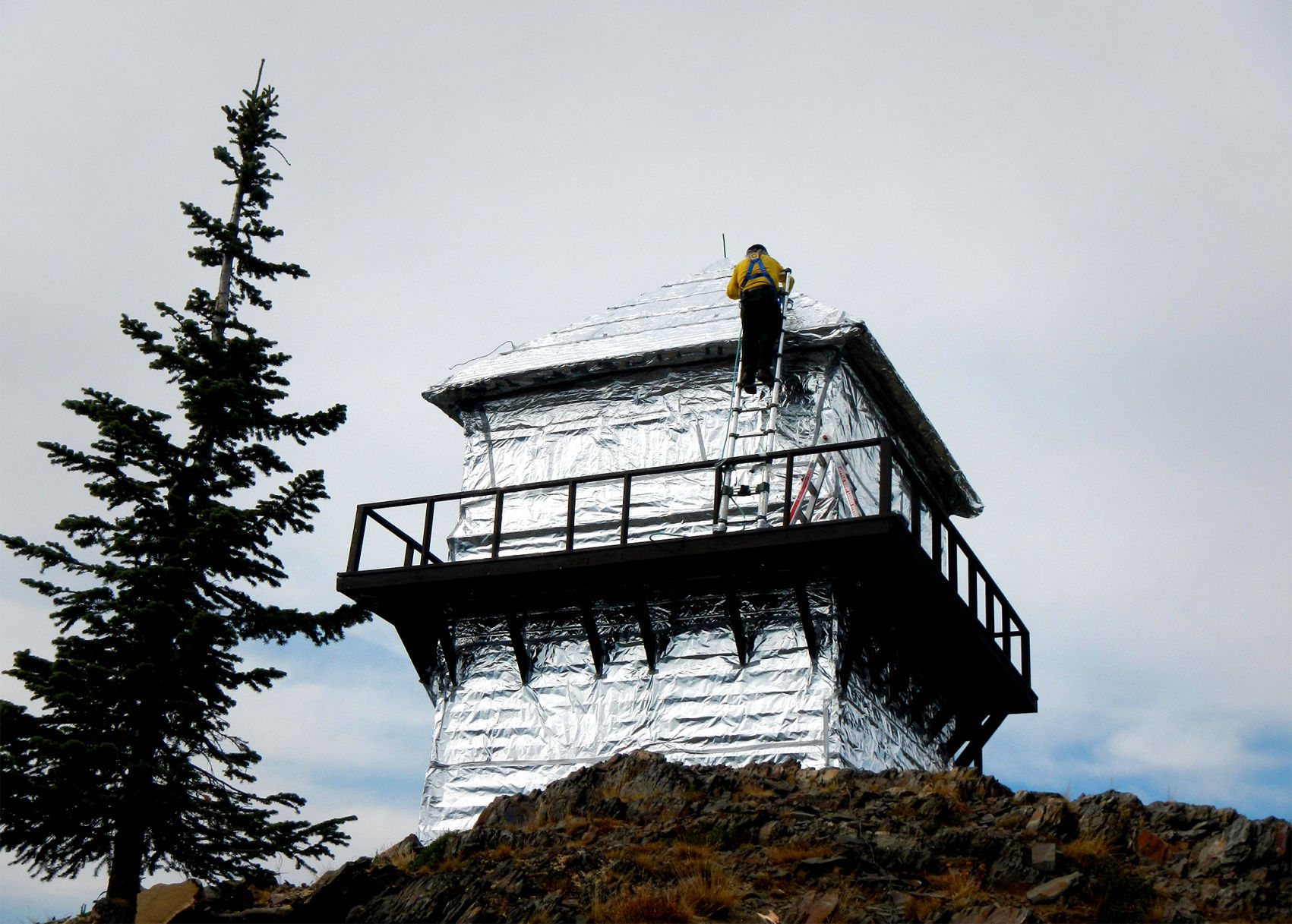 Mount Brown lookout
